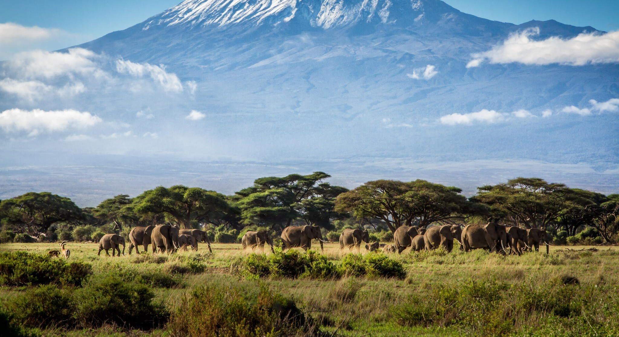 Kilimanjaro Marangu Route