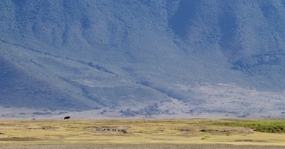 Ngorongoro Safari Image